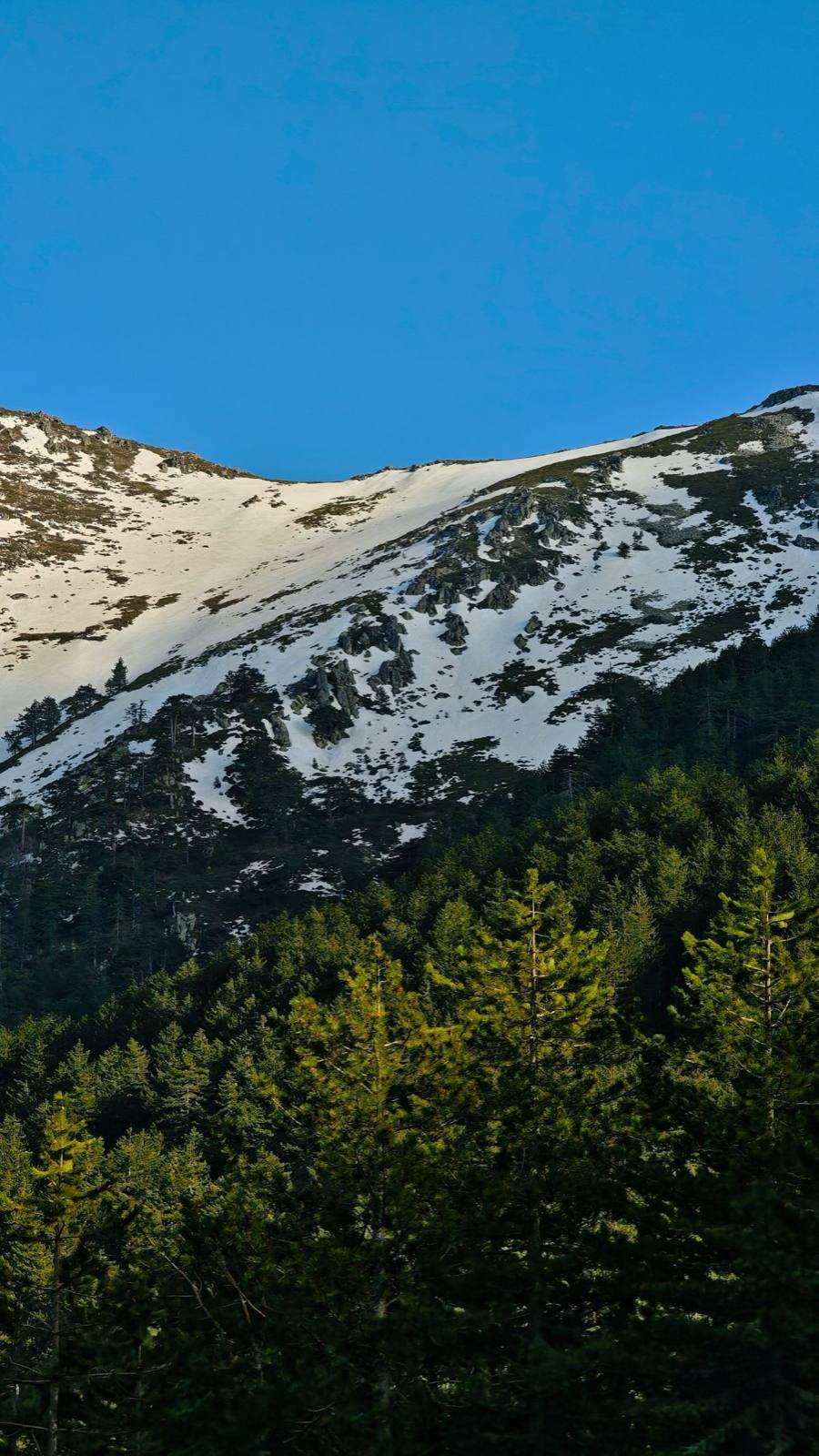 Nelong Valley from Harsil: Permit, Distance and Tips